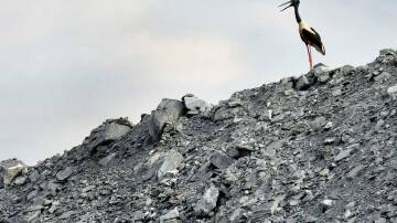 Mining company ERA has been refused renewal of its 10-year lease for digging up uranium in Jabiluka. Photo: HANDOUT/Gundjeihmi Aboriginal Corporation