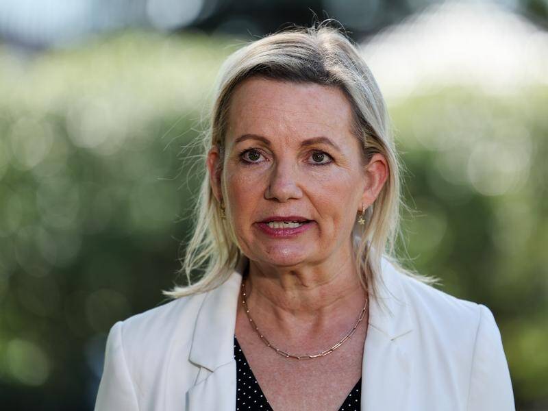 Sussan Ley says voters want answers from the government ahead of the referendum on the voice. (Paul Braven/AAP PHOTOS)